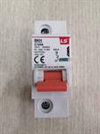 MCB LS 1P 100A 10kA ( BKH )